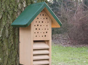 Armoire bifonctionnelle pour abeilles et coccinelles - verte Armoire bifonctionnelle pour abeilles et coccinelles - verte