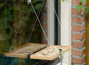« BirdSwing » Vide XL « BirdSwing » Vide XL