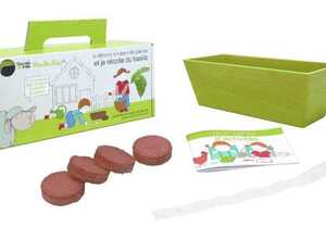 Jardinière de basilic AB Jardinière de basilic AB