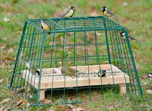Cage de protection grandes mailles