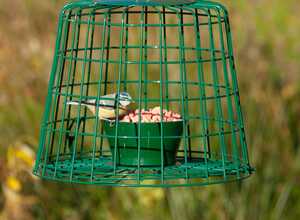 Cage de protection pour friandises et vers de farine