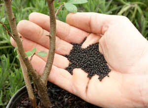 Aliments biologiques pour plantes Aliments biologiques pour plantes