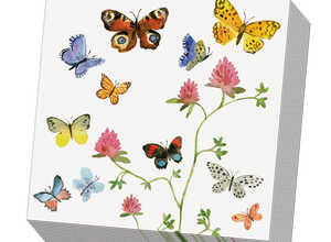 Serviettes Papillon