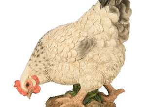 Poule blanche en résine picorant