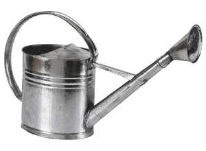 Arrosoir en zinc 10 litres - - AUBRY GASPARD Arrosoir en zinc 10 litres - - AUBRY GASPARD