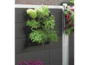 NATURE Kit potager vertical en acier 60xH60cm - Noir