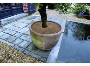 NATURE Disque de plantation en coco ?30 cm