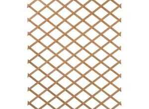 NATURE Treillis extensible en bois naturel 100x300cm - Marron