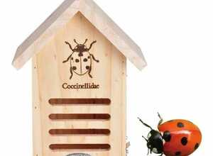 Abri Coccinelles Abri Coccinelles