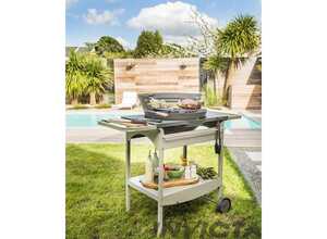 Barbecue bois Shogun Grill - grille diamètre : 50 cm Barbecue bois Shogun Grill - grille diamètre : 50 cm