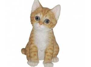 CHATON ASSIS ROUPAR 20CM - RIVIERA CHATON ASSIS ROUPAR 20CM - RIVIERA