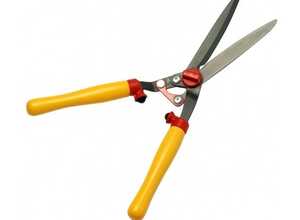 Cisaille à haie Outils Wolf professionnelle