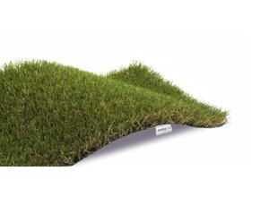 EXELGREEN Gazon synthétique Gardenreal BB 3830 - 2x5m