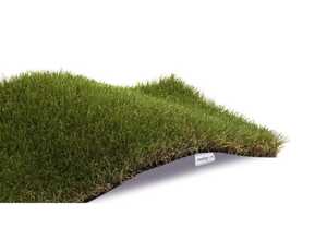 EXELGREEN Gazon synthétique Gardenreal BB 51638 - 2x5m