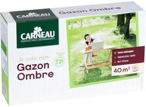 Gazon pour jardin ombragé - - CARNEAU