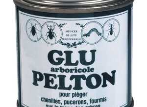 Glu arboricole boîte 150 g - SéLECTION BRICO-TRAVO