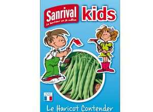 Graines Haricot Contender pour Enfants