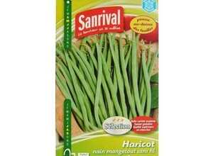 Graines Haricot Sansoucy Mangetout Sans Fil