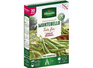 Haricot vert sans fil Montebello très fin - 20 mètres - Vilmorin