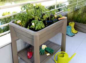 Espace potager Veg et Table sans serre - Taupe Espace potager Veg et Table sans serre - Taupe