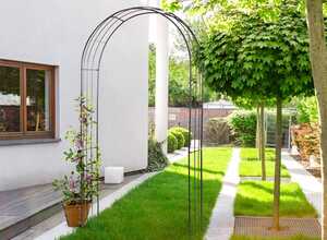 Arche Whisper Arch Arche Whisper Arch