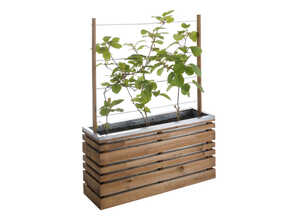 Jardinière en bois rectangulaire + treillis Lign Z 100 Jardinière en bois rectangulaire + treillis Lign Z 100