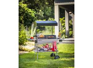 Barbecue bois Le grilladin de luxe - grille rectangle : 70 x 42 cm Barbecue bois Le grilladin de luxe - grille rectangle : 70 x 42 cm