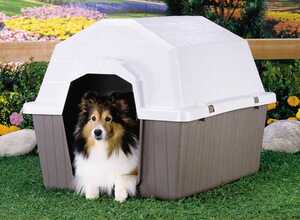 Barn Home Medium