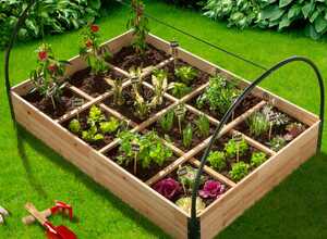 Carré potager en bois 12 compartiments