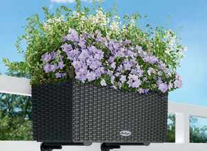 Jardinière Lechuza Balconera Cottage L50 H19 cm gris + supports Jardinière Lechuza Balconera Cottage L50 H19 cm gris + supports