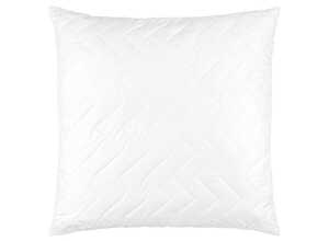LIVARNO home Oreiller Aloe Vera, 60 x 60 cm