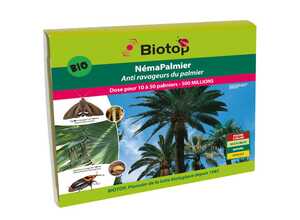 Nématodes NémaPalmier contre ravageurs du palmier BIOTOP - 500 millions pour 10 à 50 palmiers