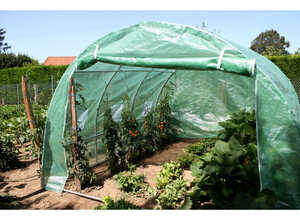 Serre Tunnel 300 x 300 x 200 cm - 9 m² - JANY