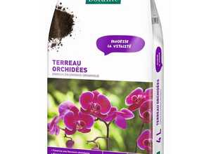 Terreau orchidées botanic® - 4 L Terreau orchidées botanic® - 4 L