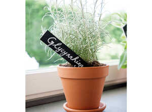 Vase brut rouge en terre cuite D.15 x H13,5 Vase brut rouge en terre cuite D.15 x H13,5
