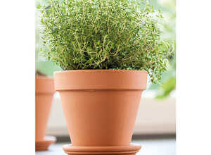 Vase brut rouge en terre cuite D.31 x H29 Vase brut rouge en terre cuite D.31 x H29