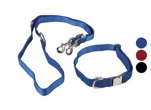 zoofari® Collier pour chien avec laisse