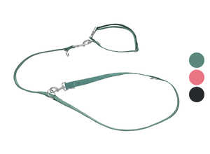 zoofari® Collier et laisse pour chiens