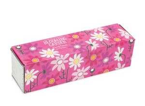 Kit Jardinière Cosmos Nains Kit Jardinière Cosmos Nains