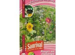 Mélange Graines Fleurs pour Abeilles