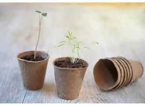 Lot de 54 pots en tourbe ronds H8,5 x diam 8 cm - 18 x 3