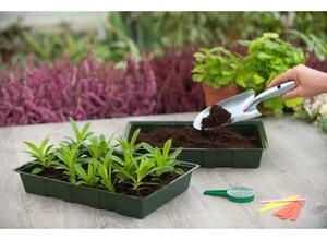 Lot de 5 terrines pour semis 35x23,5x5,5 cm