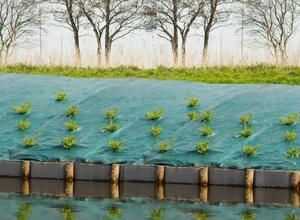 Toile de paillage paysages - vert 90 gr/m?- 5,2x5m