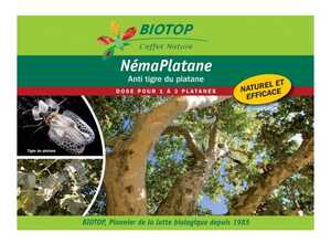 Nématodes utiles spécial platanes némaplatane - BIOTOP