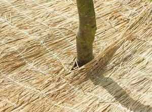 NATURE Paillon en paille de riz cousue