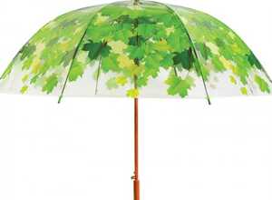 Parapluie sous l'Arbre Parapluie sous l'Arbre