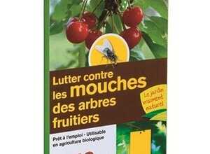piège englué chromatique jaunes - DECAMP