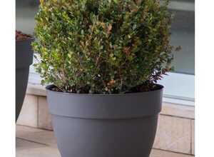 Pot Ninfea a reserve d'eau - 30x30x24cm - 12l - Anthracite - DEROMA