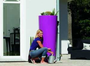 Récupérateur d'eau 350L et bac à plante - cassis