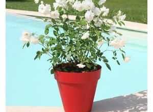 RIVIERA Pot SOLEILLA diam?tre 50 cm rouge